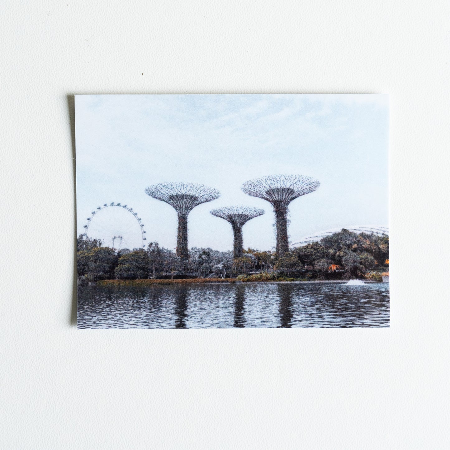 A landscape of supertrees from Gardens By The Bay Singapore