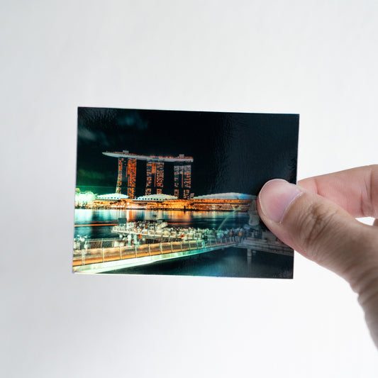 Marina Bay Sands Night Scenery with Merlion