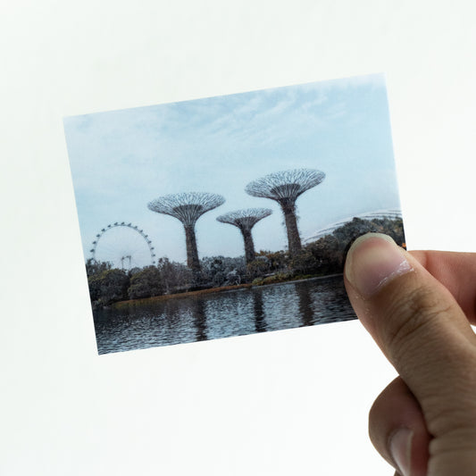 A landscape of supertrees from Gardens By The Bay Singapore